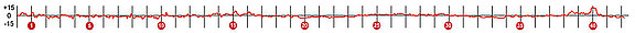 Viertelmarathon_und_Walking_–_Hoehenprofil.jpg